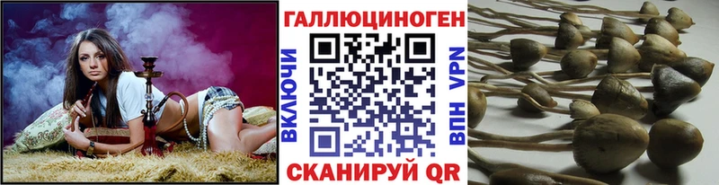 наркотики  Енисейск  Галлюциногенные грибы прущие грибы 